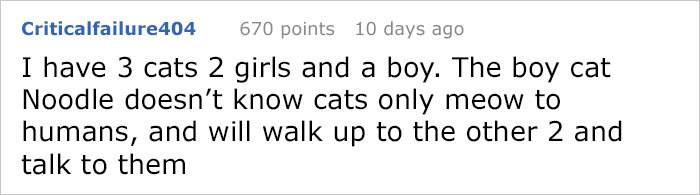 13 Times Cats Hilariously Surprised Their Owners With How Weird They Are 13 Times Cats Hilariously Surprised Their Owners With How Weird They Are