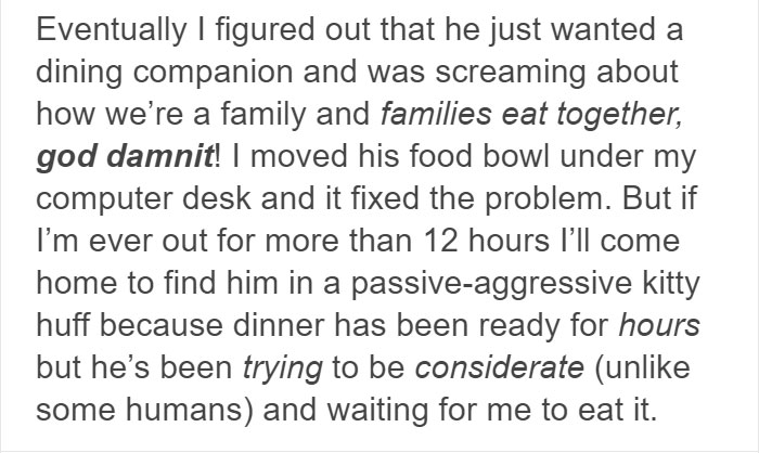 13 Times Cats Hilariously Surprised Their Owners With How Weird They Are 13 Times Cats Hilariously Surprised Their Owners With How Weird They Are