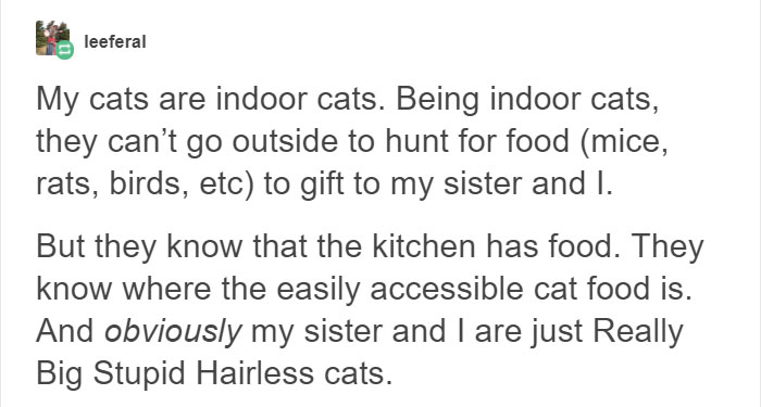 13 Times Cats Hilariously Surprised Their Owners With How Weird They Are 13 Times Cats Hilariously Surprised Their Owners With How Weird They Are