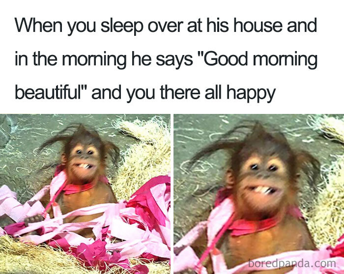Happy orangutan wrapped in pink streamers, embodying the joy of wholesome relationship moments.