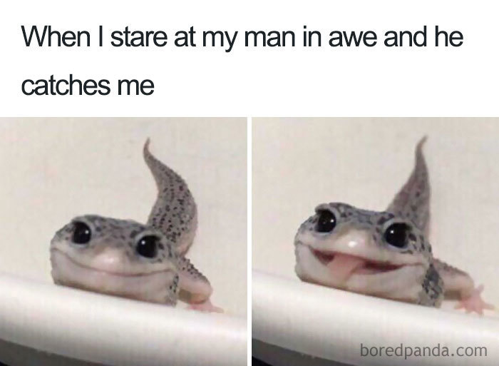 Cute lizard smiling in a wholesome relationship meme about being caught staring in awe.
