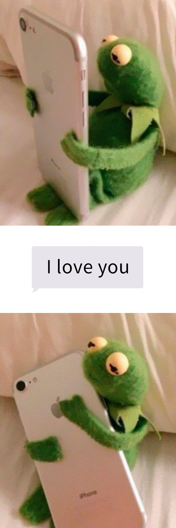 Stuffed frog hugging phone, heartwarming relationship meme with text message "I love you."