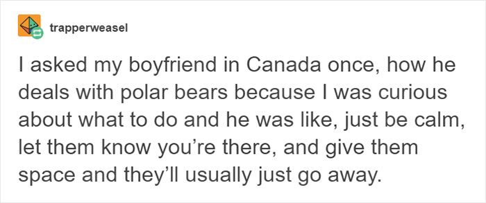 People Laugh At How Differently Canadians And Finnish People Deal With Bears People Laugh At How Differently Canadians And Finnish People Deal With Bears