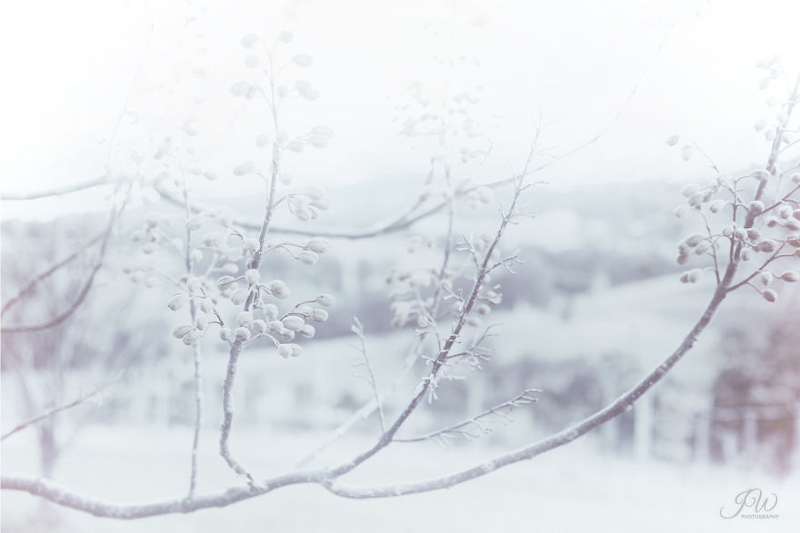 Breaking From Winter Mood