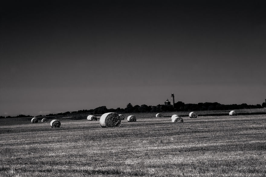 I Love To Run Away With My Camera (Part 2)