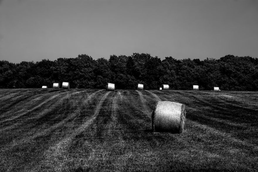 I Love To Run Away With My Camera (Part 2)