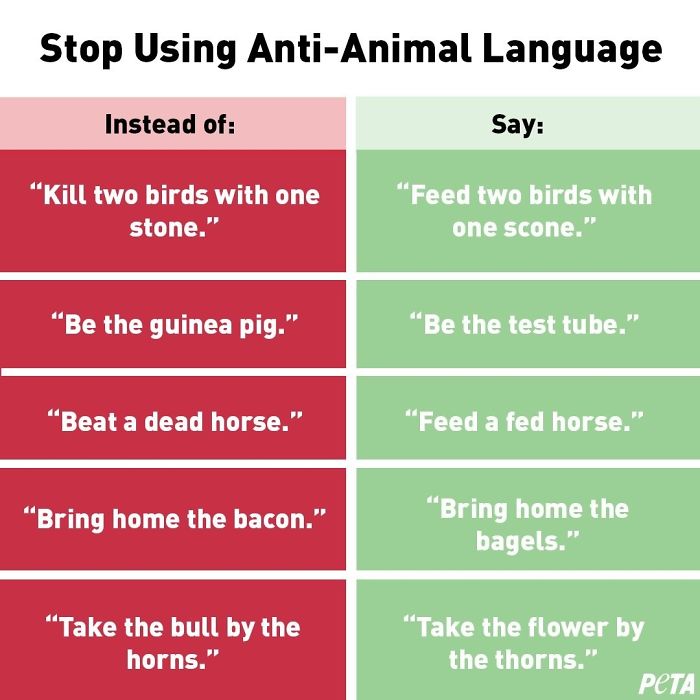 PETA Asks People To Stop Using "Anti-Animal" Phrases And People Can't Help But Laugh PETA Asks People To Stop Using "Anti-Animal" Phrases And People Can't Help But Laugh