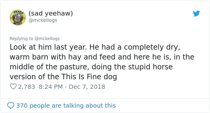 Meet Tango, The Stupidest Horse Ever Whose Stupidity Is Going Viral On Twitter