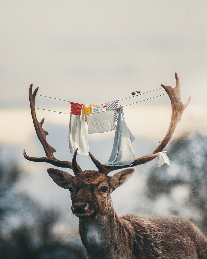 I'm A Turkish Guy Who Likes Graphic Design