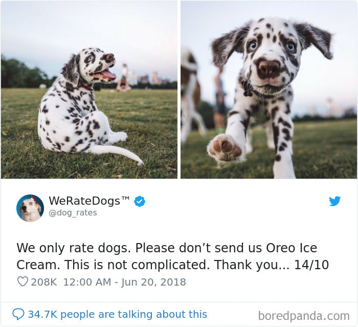 We Rate Dogs