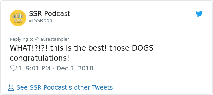 This Girl’s Reaction To Her Boyfriend Proposing With 16 Dogs Is Priceless This Girl’s Reaction To Her Boyfriend Proposing With 16 Dogs Is Priceless