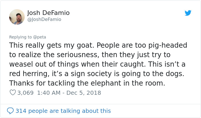 PETA Asks People To Stop Using "Anti-Animal" Phrases And People Can't Help But Laugh