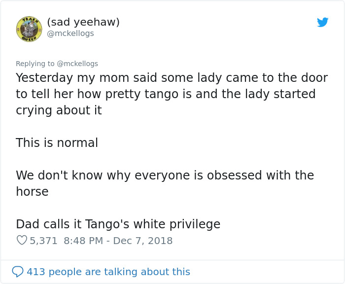 Meet Tango, The Stupidest Horse Ever Whose Stupidity Is Going Viral On Twitter