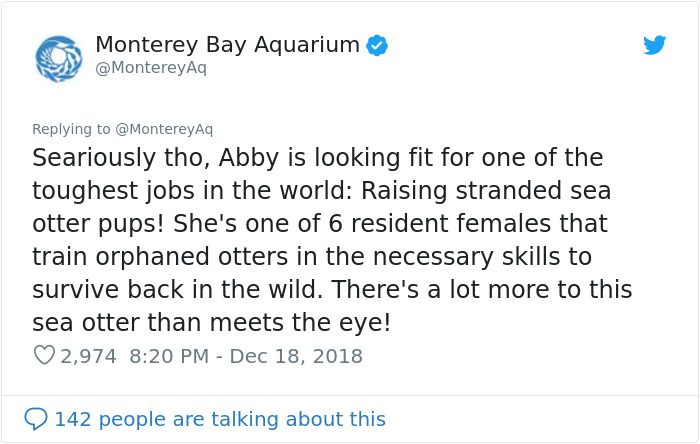 Aquarium Fat-Shames One Of Their Otters, Gets Instantly Murdered By Words