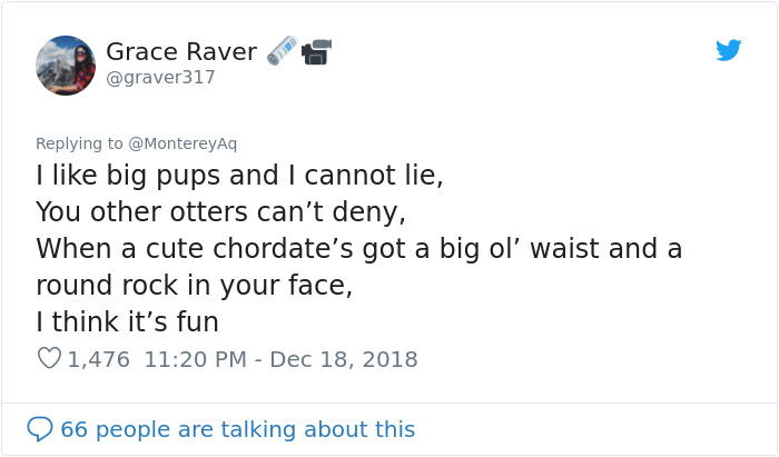 Aquarium Fat-Shames One Of Their Otters, Gets Instantly Murdered By Words Aquarium Fat-Shames One Of Their Otters, Gets Instantly Murdered By Words