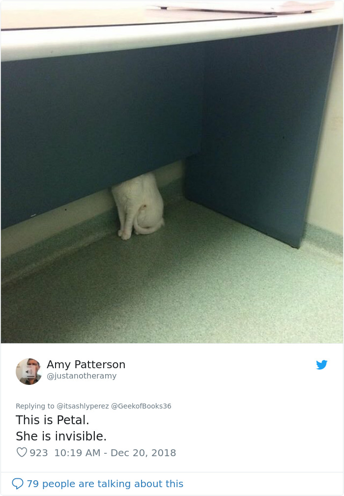 Someone Shares Pic Of Their Cat Hiding From The Vet, The Internet Responds With Their Own Hilarious Pics