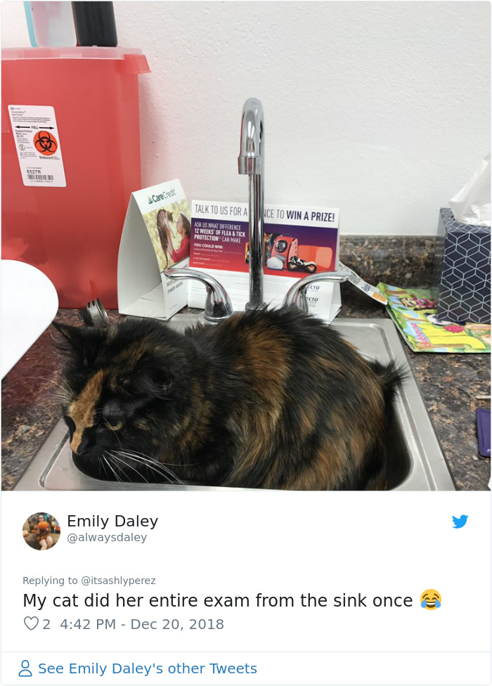 Someone Shares Pic Of Their Cat Hiding From The Vet, The Internet Responds With Their Own Hilarious Pics