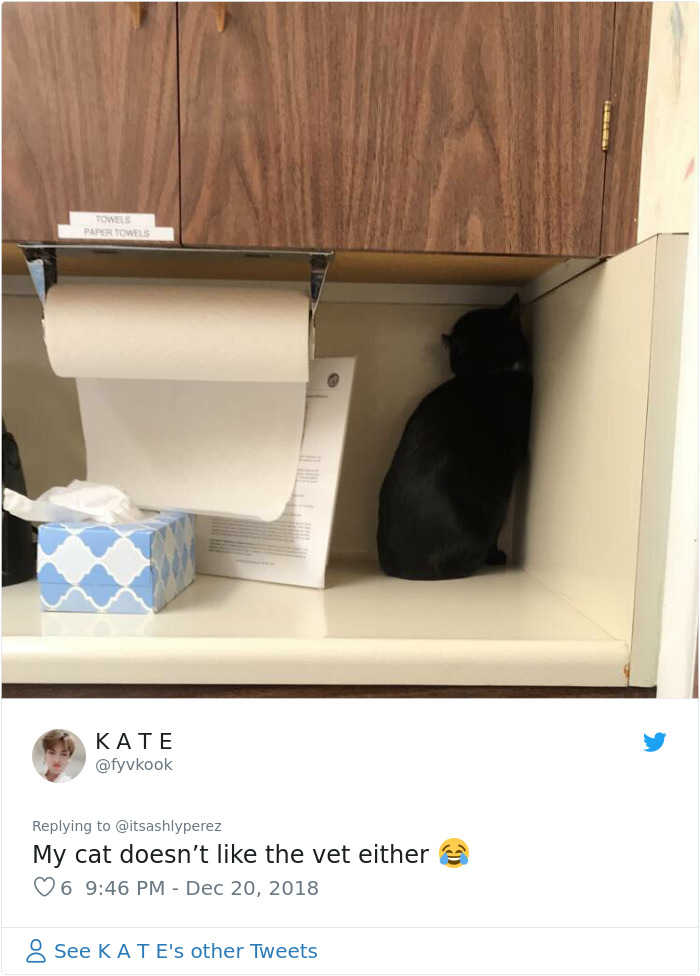 Someone Shares Pic Of Their Cat Hiding From The Vet, The Internet Responds With Their Own Hilarious Pics Someone Shares Pic Of Their Cat Hiding From The Vet, The Internet Responds With Their Own Hilarious Pics