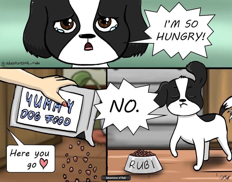 12 Comics That Every Dog Owners Will Understand