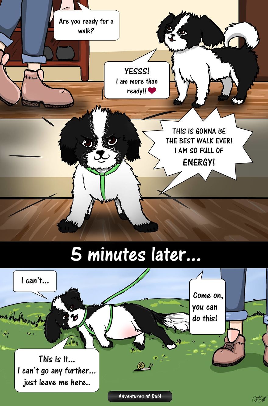 12 Comics That Every Dog Owners Will Understand