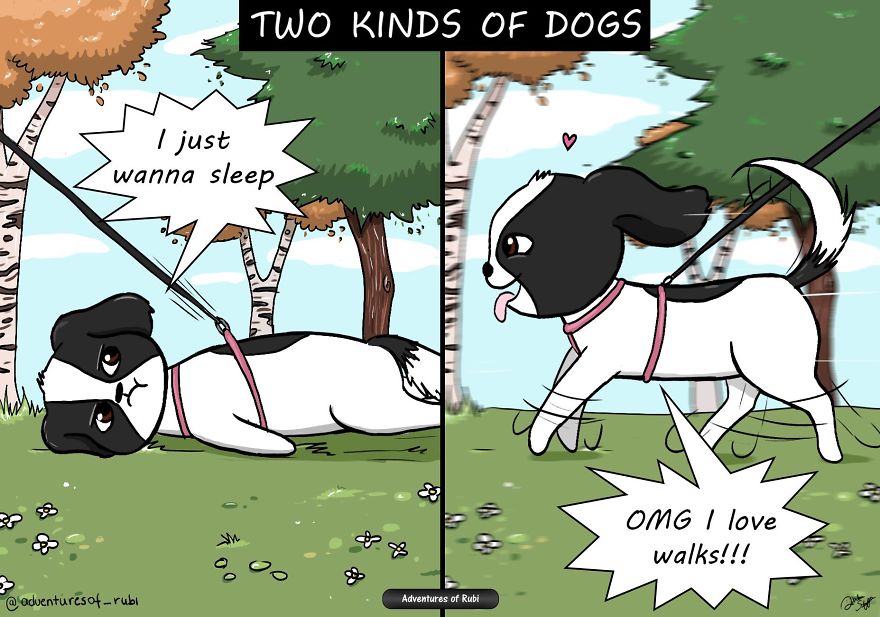 12 Comics That Every Dog Owners Will Understand