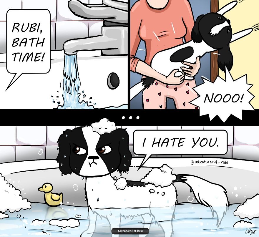 12 Comics That Every Dog Owners Will Understand