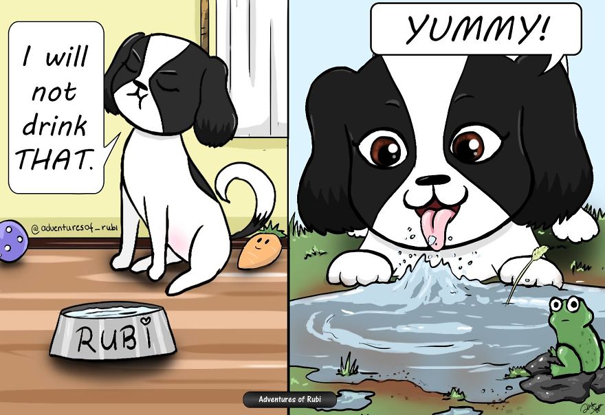 12 Comics That Every Dog Owners Will Understand