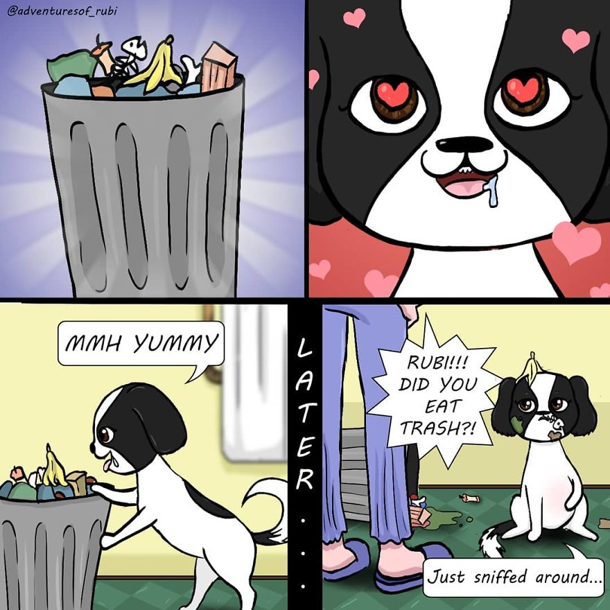 12 Comics That Every Dog Owners Will Understand