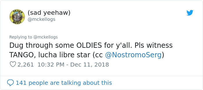 Meet Tango, The Stupidest Horse Ever Whose Stupidity Is Going Viral On Twitter