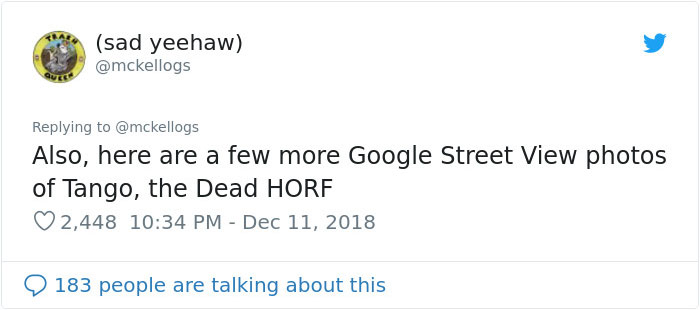 Meet Tango, The Stupidest Horse Ever Whose Stupidity Is Going Viral On Twitter