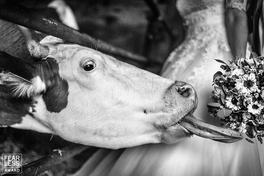 Best-Wedding-Photos-2018-Fearless-Awards-Photography