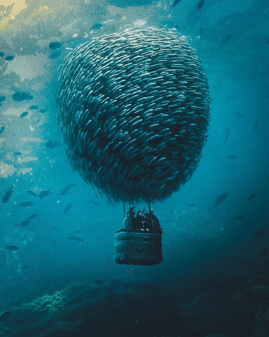 I'm A Turkish Guy Who Likes Graphic Design