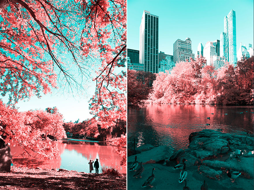 Italian Photographer Captures The World In Infrared And It Is The Best Thing You Would Ever See