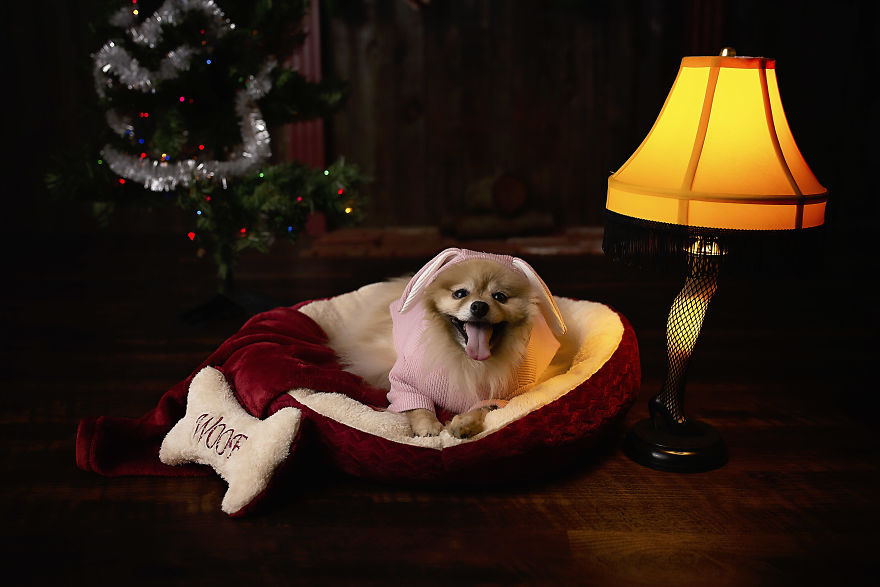 A Dogs Christmas Story A Dogs Christmas Story