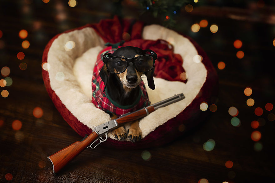 A Dogs Christmas Story A Dogs Christmas Story