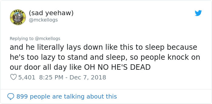 Meet Tango, The Stupidest Horse Ever Whose Stupidity Is Going Viral On Twitter