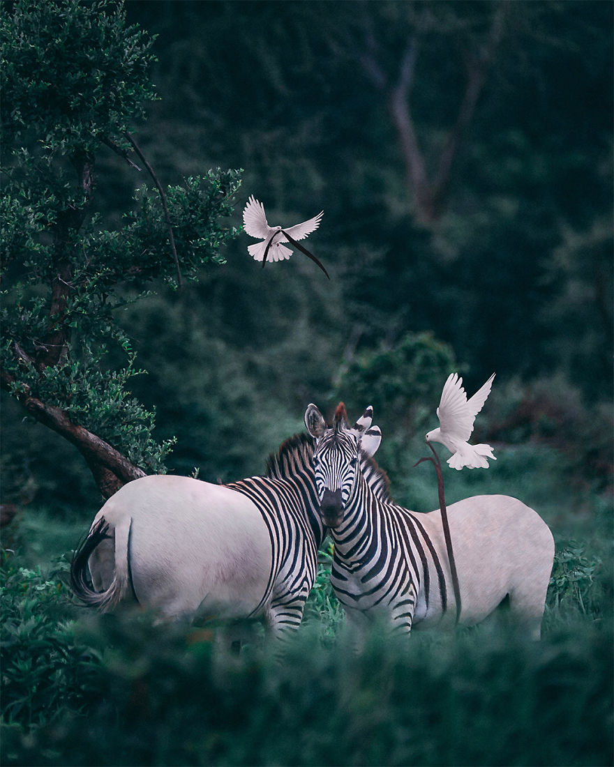 I'm A Turkish Guy Who Likes Graphic Design