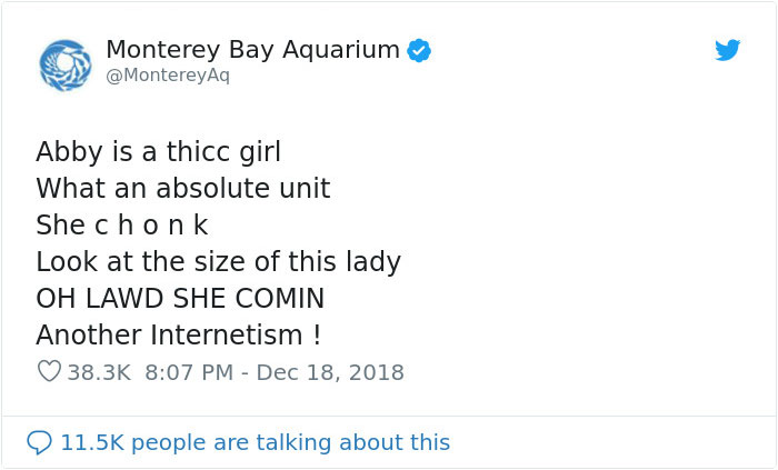 Aquarium Fat-Shames One Of Their Otters, Gets Instantly Murdered By Words