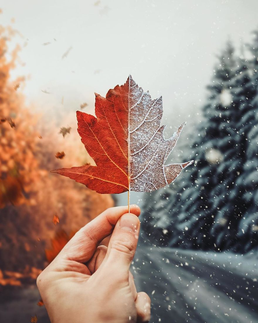 I'm A Turkish Guy Who Likes Graphic Design