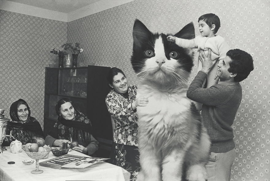 Huge Cats On The New Year's Eve In The Ussr