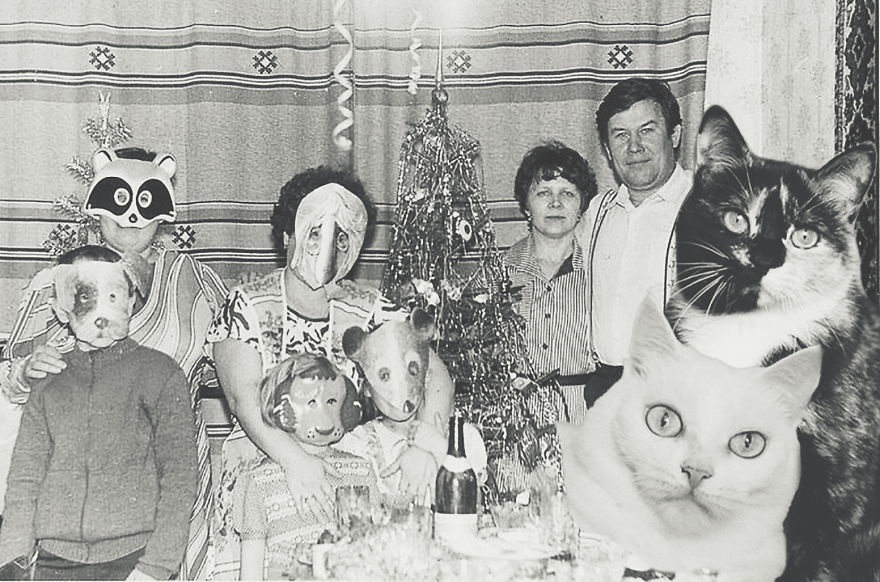 Huge Cats On The New Year's Eve In The Ussr