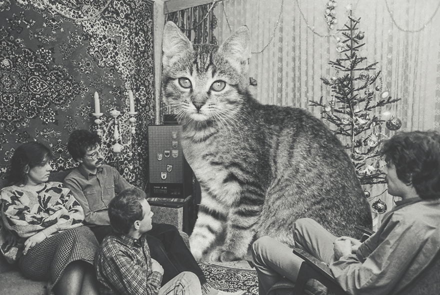 Huge Cats On The New Year's Eve In The Ussr