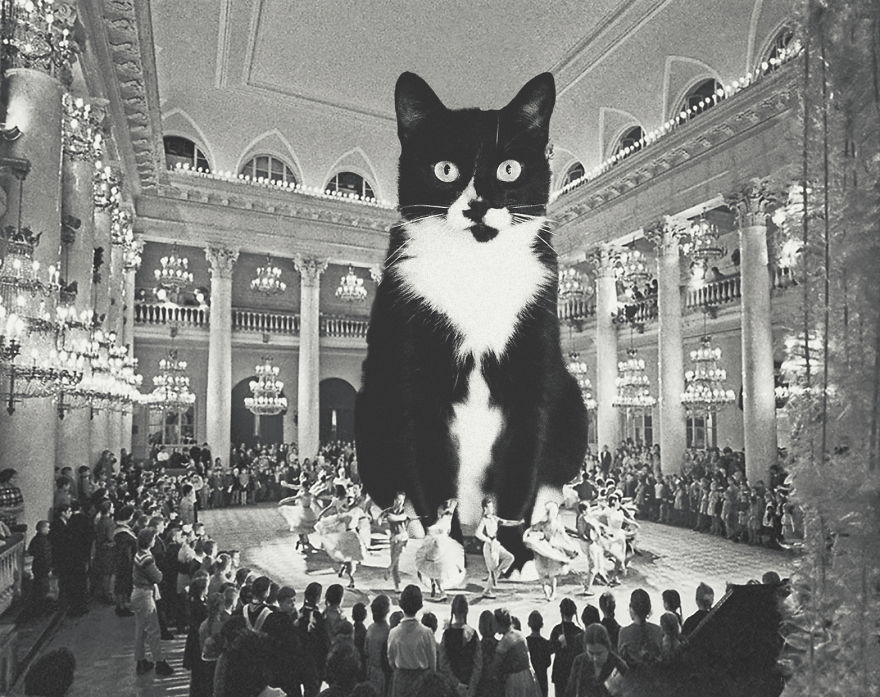 Huge Cats On The New Year's Eve In The Ussr