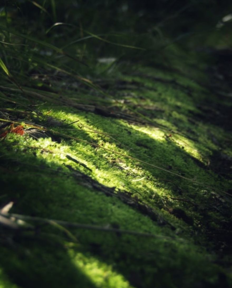 16 Pictures Of The Overlooked Beauty Around Us