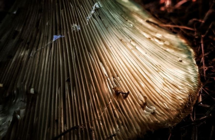 16 Pictures Of The Overlooked Beauty Around Us