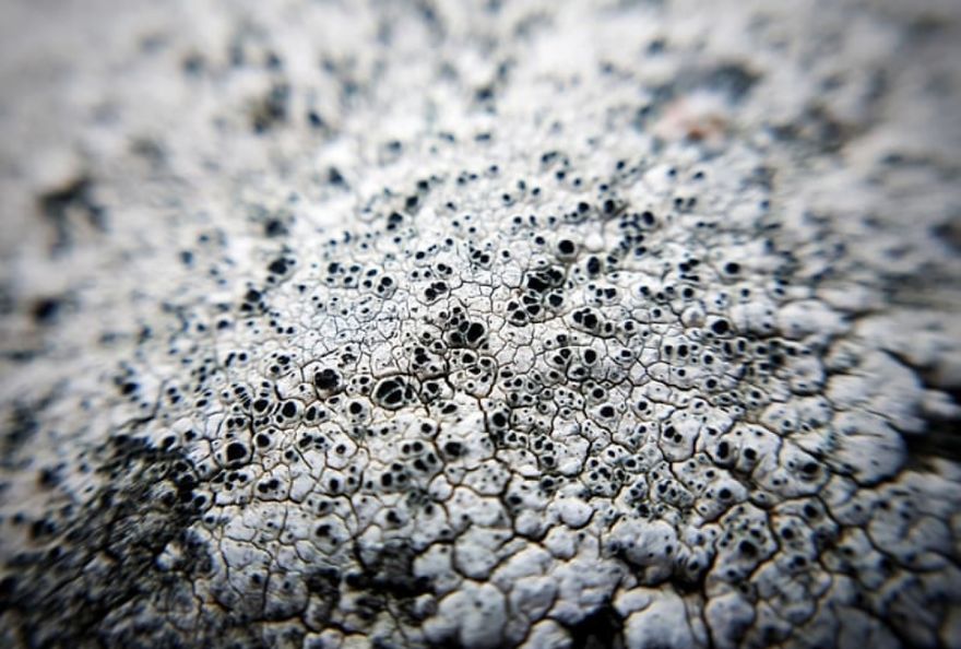 16 Pictures Of The Overlooked Beauty Around Us 16 Pictures Of The Overlooked Beauty Around Us