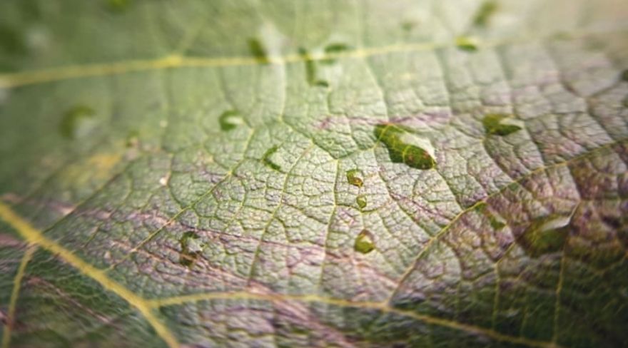 16 Pictures Of The Overlooked Beauty Around Us