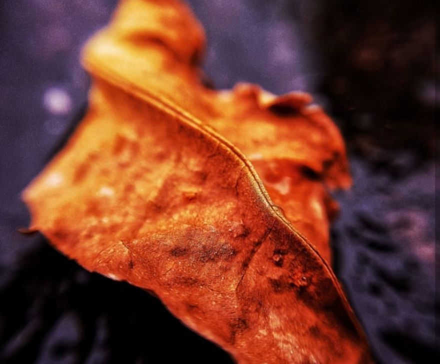 16 Pictures Of The Overlooked Beauty Around Us 16 Pictures Of The Overlooked Beauty Around Us