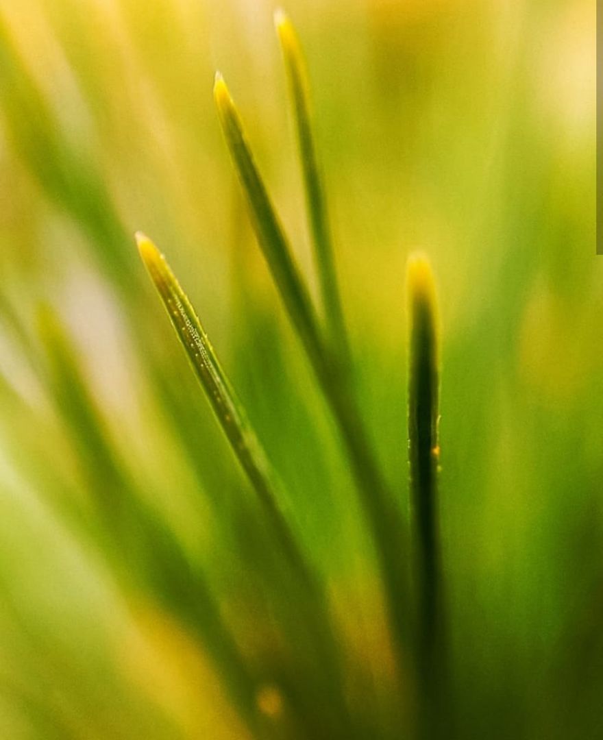 16 Pictures Of The Overlooked Beauty Around Us 16 Pictures Of The Overlooked Beauty Around Us