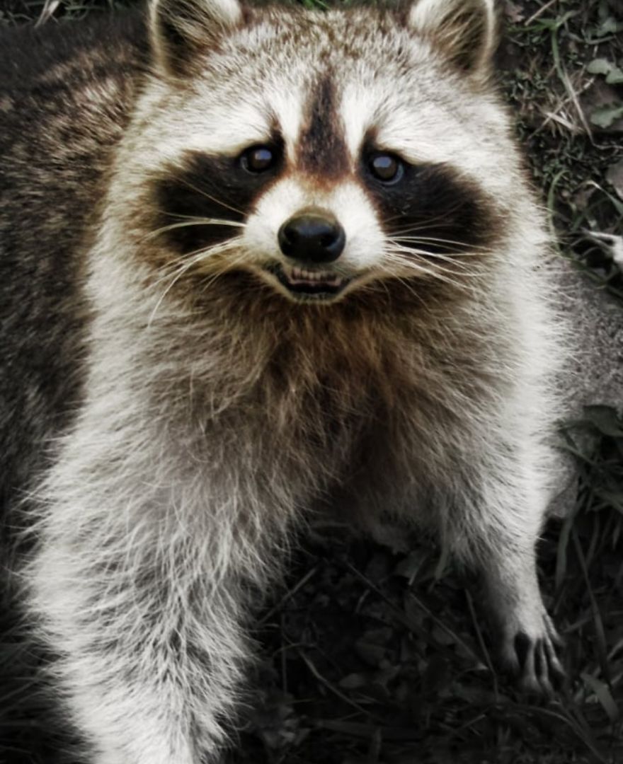 16 Pictures Of The Overlooked Beauty Around Us 16 Pictures Of The Overlooked Beauty Around Us